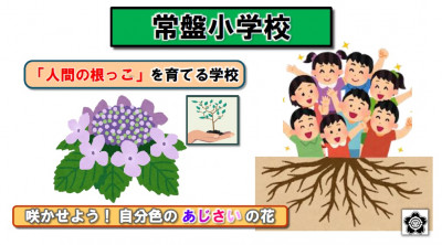 000-人間の根っこ＆紫陽花