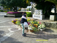 DSCF0255