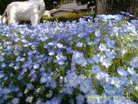 DSCF0253
