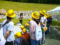 DSCF0809