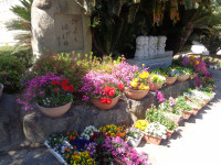 DSC02170