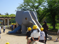 DSC04519