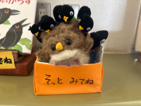 tosho4