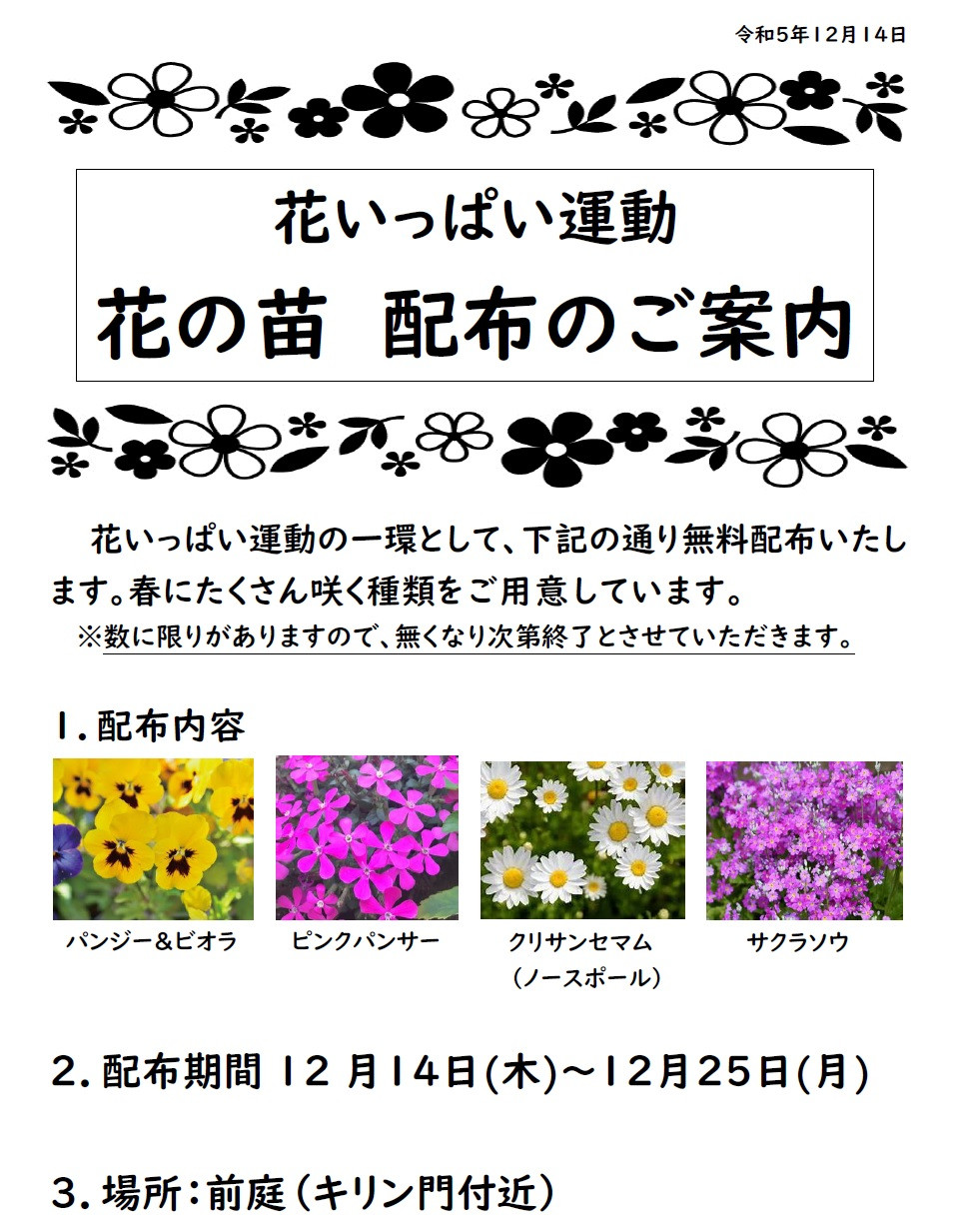 00-花の苗配布①