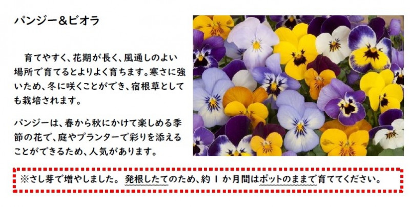 00-花の植え方②