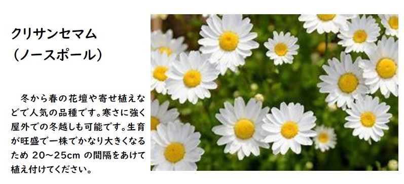 00-花の植え方①