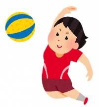 00000-sports_soft_volleyball