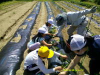 DSCF0434